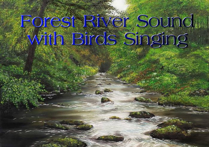 Forest River Sound With Birds Singing #2