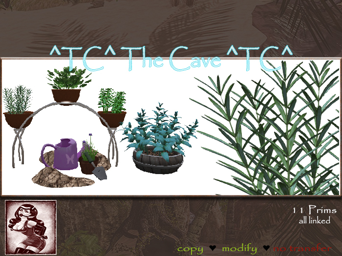 ^TC^Herb Garden Set