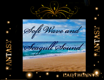 Soft Wave and Seagull Sound