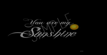 You are my Sunshine White Letters with Sun (Wall Decoration) *transparent* 