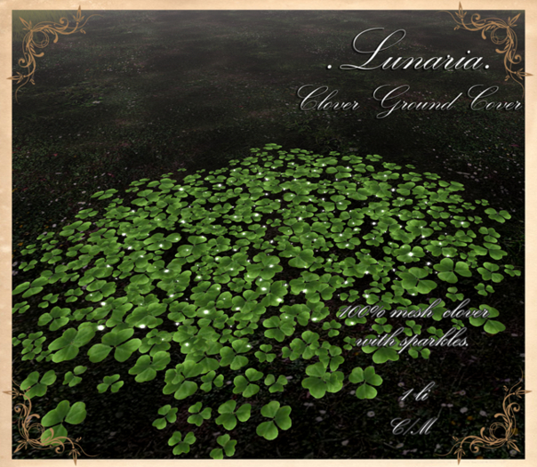.Lunaria. Clover Ground Cover {Add Me}