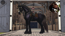 Cheval D'or / TeeglePet Friesian / Spanish Tack. (Boxed)