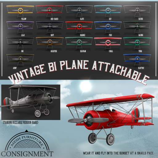 [Con.] Vintage BiPlanes - Red RARE