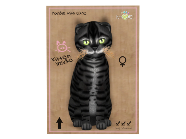 KittyCatS Box - 9 T - F - Toyger - Coal
