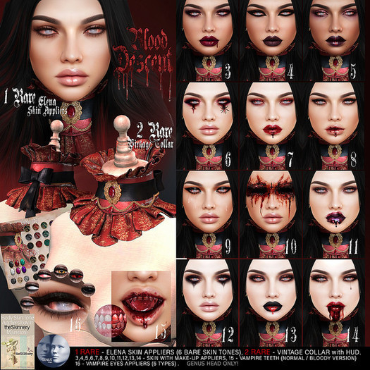 06 GENUS Skin Applier /ELENA - CHAMPAGNE/ MakeUp 6