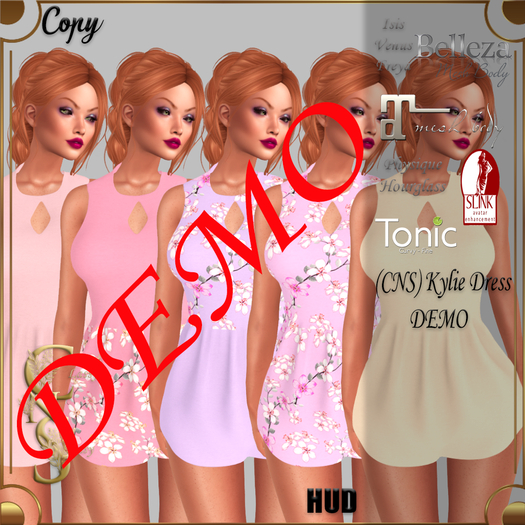 (CNS) Kylie Dress DEMO