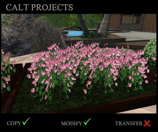 FULL PERM Calt Projects ( BOXED ) Flowers garden box Lisianthus 7
