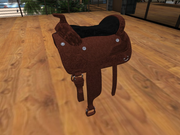 TM Saddle with Poses