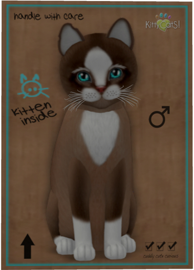 KittyCatS Box - Chateau Cat - Toffee Caramel