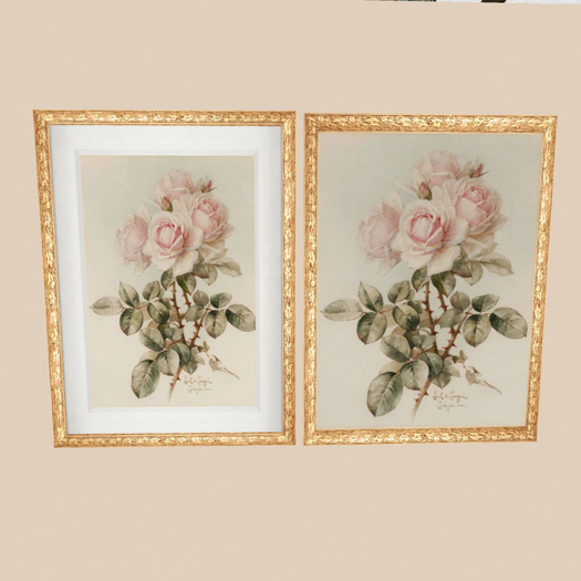Pink Roses Cream Background (Gold) New Frame BOX
