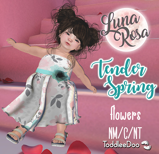 ::.LR.:: TENDER SPRING-Flowers vendor