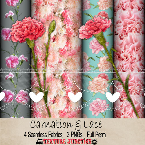 ~TJ~  Carnations & Lace