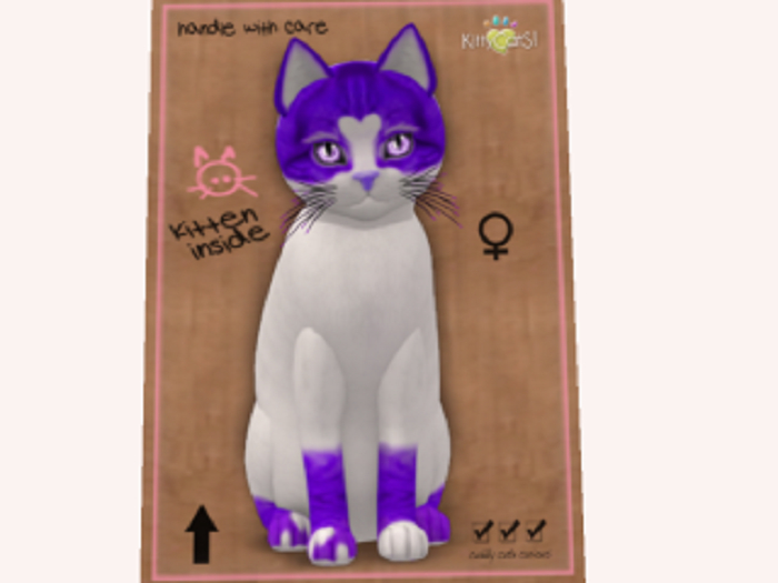 2019 SweetCatS! 2 - C'mere F Normal