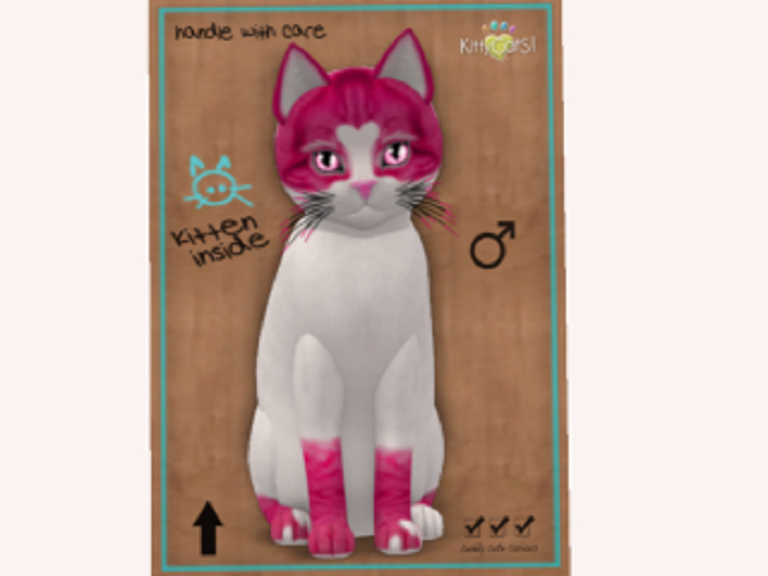 !!SALE!! 2019 SweetCatS! 2 - Hot Stuff M Normal