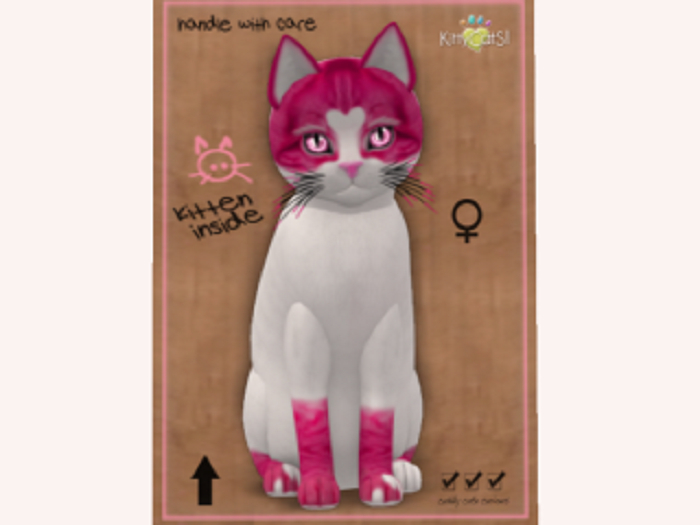2019 SweetCatS! 2 - Hot Stuff F Normal