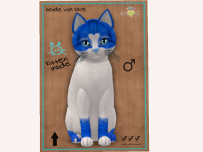 2019 SweetCatS! 2 - Love Bug M Normal
