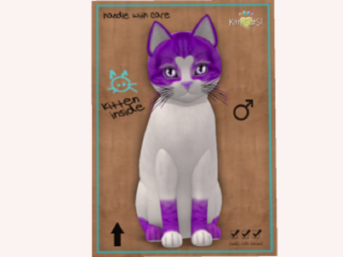 2019 SweetCatS! 2 - Cutie Pie M Normal
