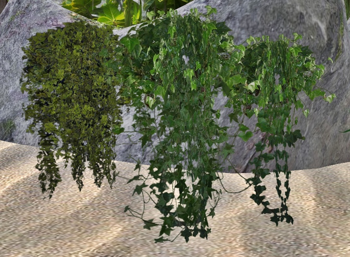 3 Hanging Plants