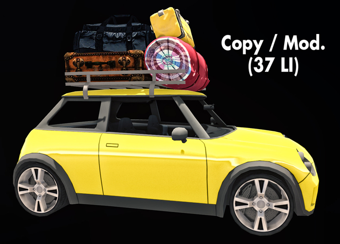 DiMi's Bag - Trip Car