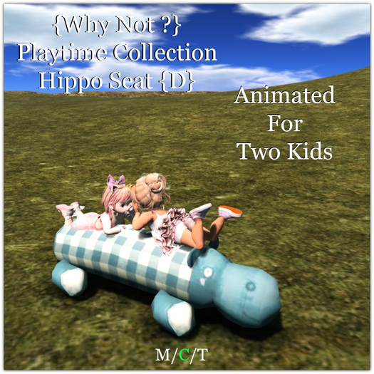 {Why Not ?} Playtime Collection-Hippo Seat {D}-Boxed
