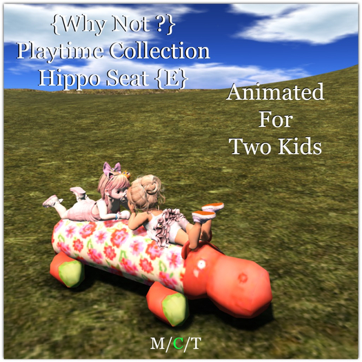 {Why Not ?} Playtime Collection-Hippo Seat {E}-Boxed