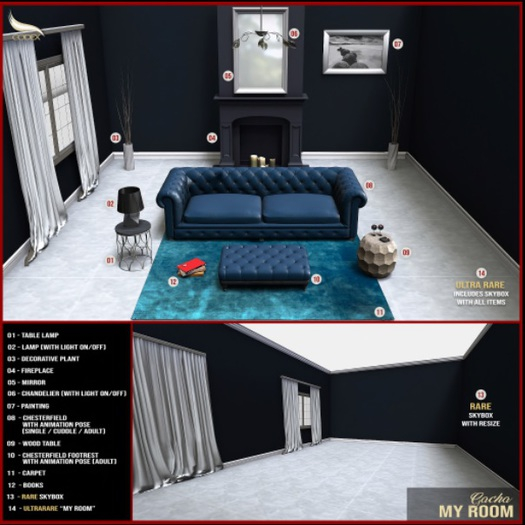 13 CODEX_RARE SKYBOX "MY ROOM"