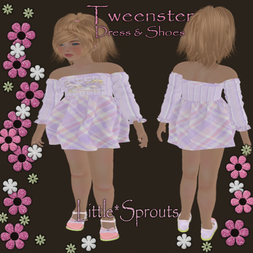 (Tweenster) Little*Sprouts-Princess Dreams (Boxed)