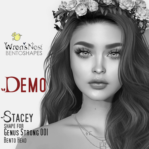 { wren's nest ) Stacey DEMO Shapes for Genus Strong 001