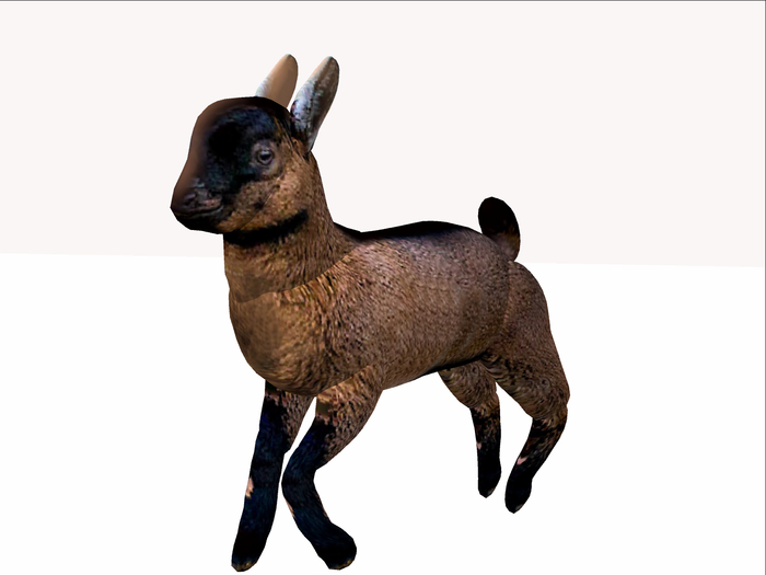 MB Box Baby goat
