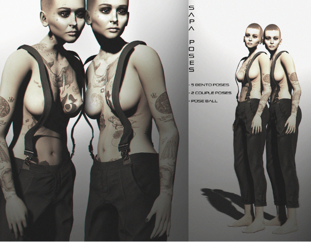 SAPA poses 73