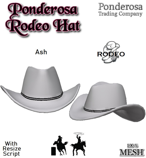 Ponderosa Rodeo Hat - Ash