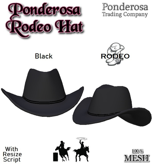 Ponderosa Rodeo Hat - Black