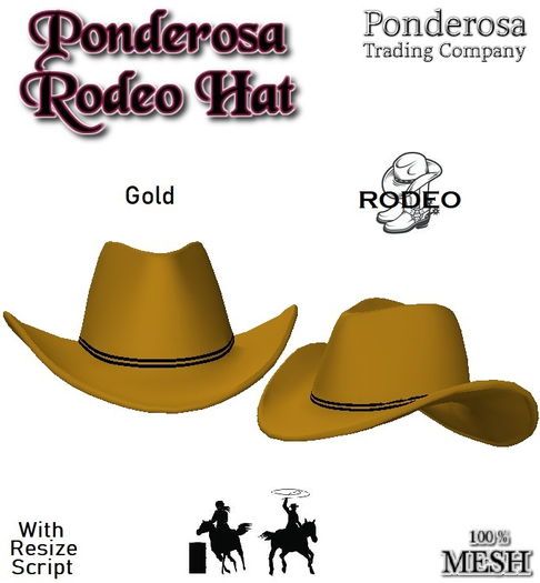 Ponderosa Rodeo Hat - Gold