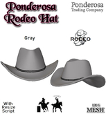 Ponderosa Rodeo Hat - Gray