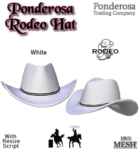 Ponderosa Rodeo Hat - White