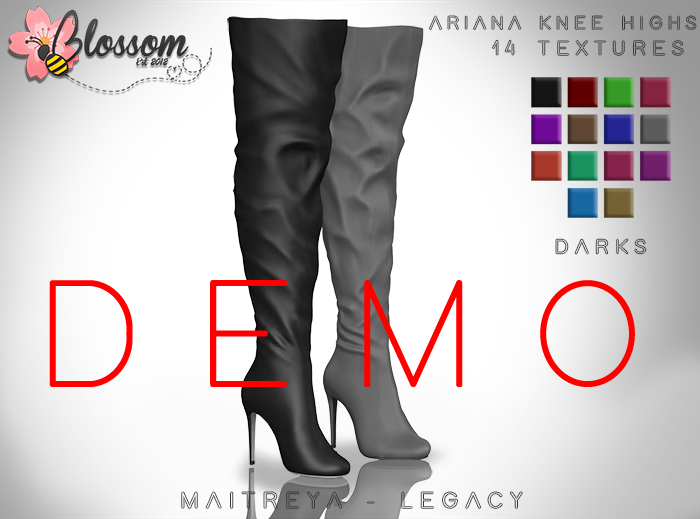 ::BLOSSOM:: Ariana Knee Highs [DEMO]