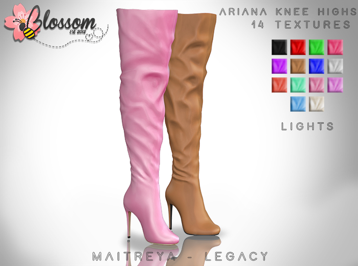 ::BLOSSOM:: Ariana Knee Highs [LIGHTS FATPACK]