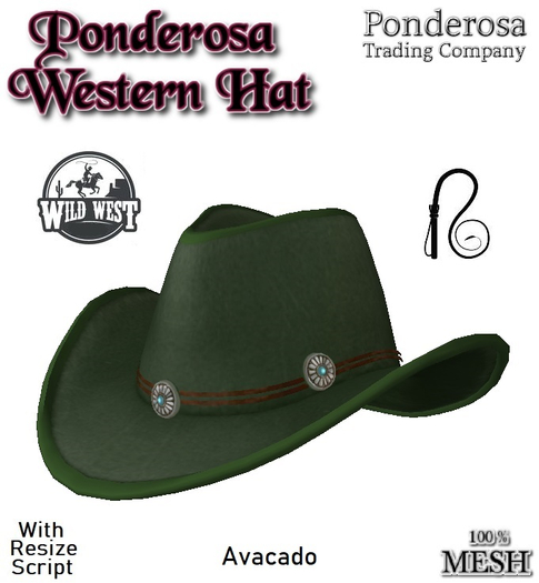 Ponderosa Western Hat - Avacado