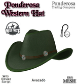 Ponderosa Western Hat - Avacado