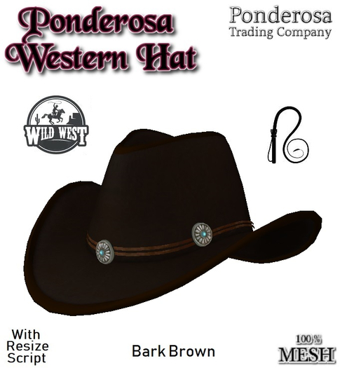 Ponderosa Western Hat - Bark Brown