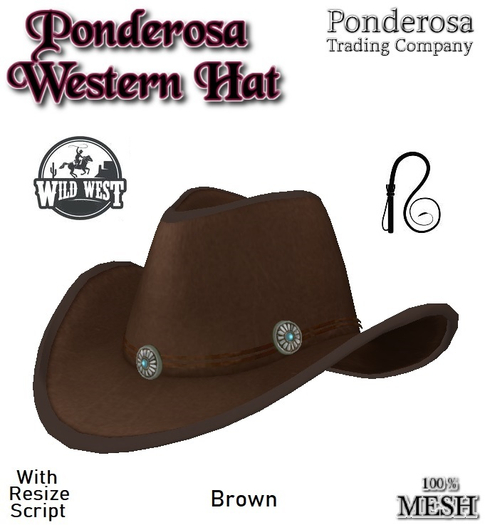 Ponderosa Western Hat - Brown