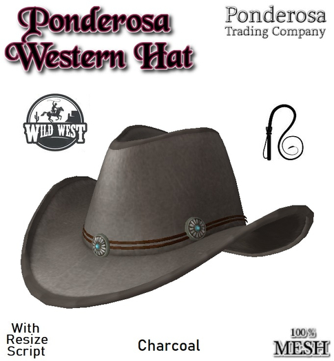 Ponderosa Western Hat - Charcoal