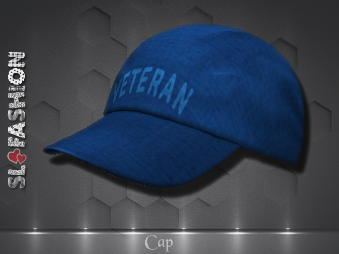 Cap - Veteran -  Blue