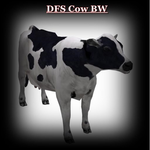 DFS Cow BW