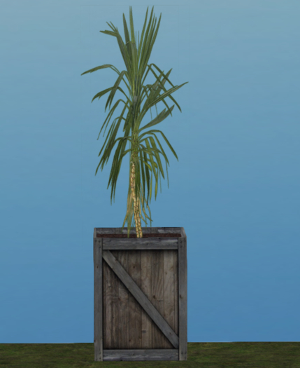 FI FERN