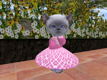 &ML& Dress with flexy-skirt (pl6) for Dinkies