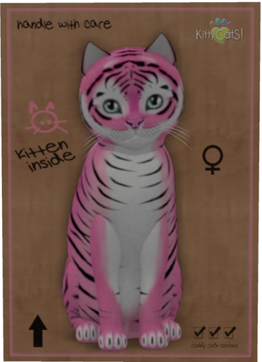 KittyCatS Box - Tiger! - Pinkie Winkie