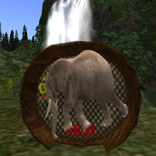 oYo Bundle - Female Black Elephant