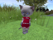 &ML& for DINKIE short suit (pl1)