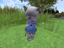 &ML& for DINKIE short suit (pl3)